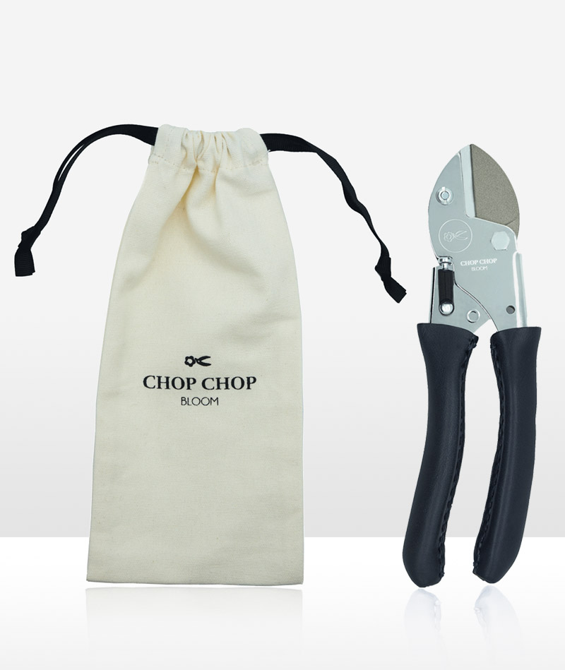 Blumentochter_Blue-Poppy_02