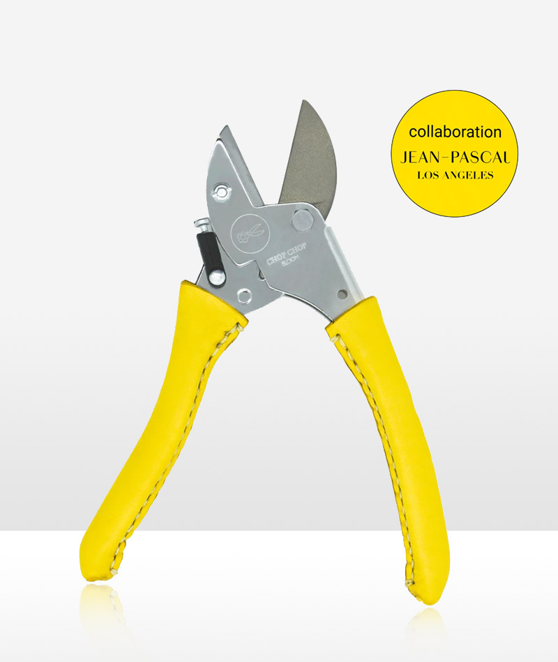 Blumentochter_Busy-Lizzy_01