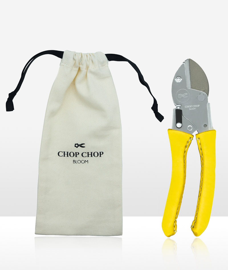 Blumentochter_Busy-Lizzy_02