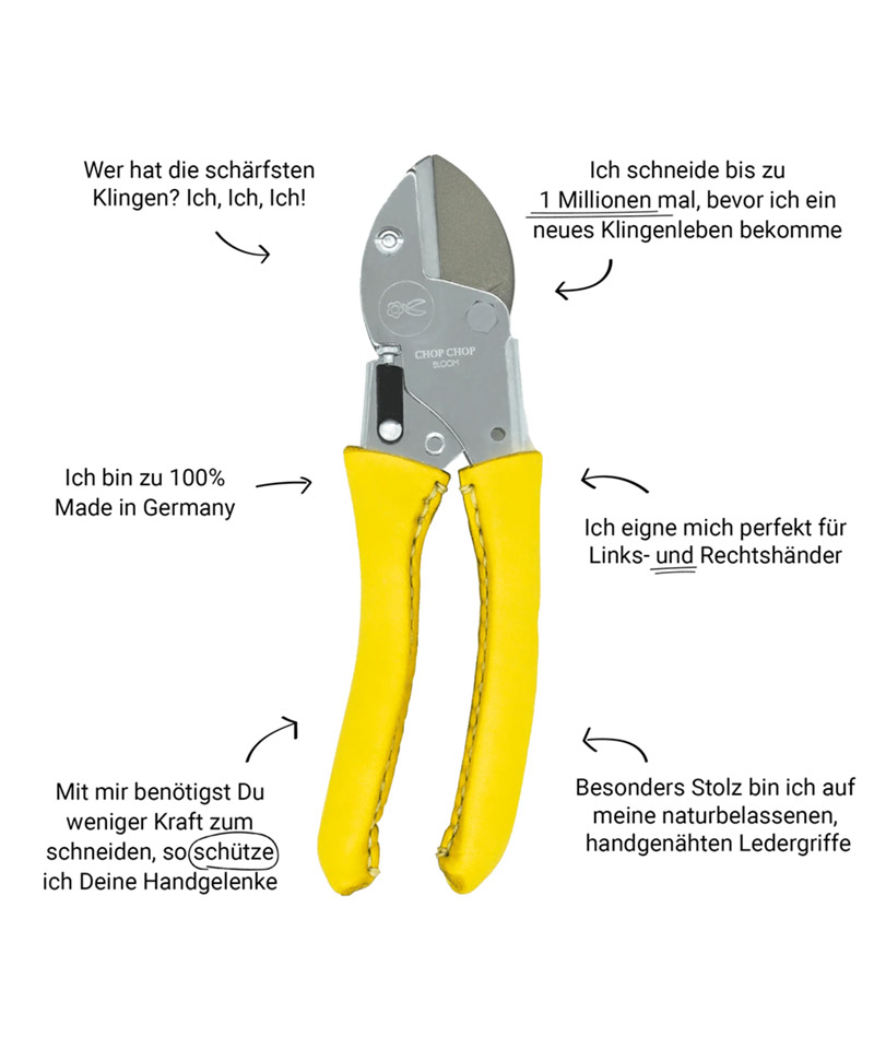 Blumentochter_Busy-Lizzy_03