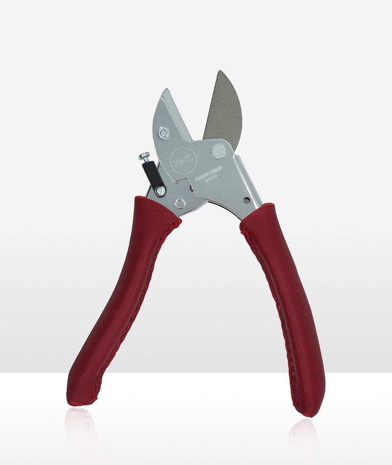 Blumentochter_Chilli-Pepper_01