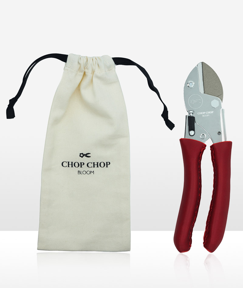 Blumentochter_Chilli-Pepper_02