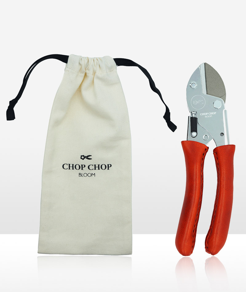 Blumentochter_Tiger-Lilly_02