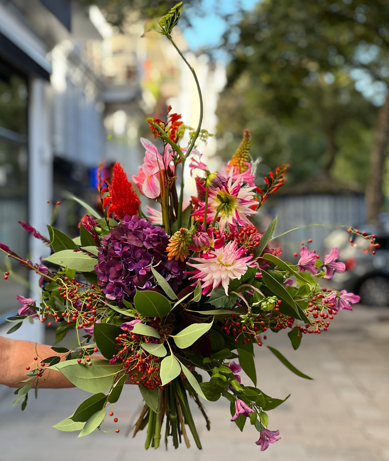 BLUMENTOCHTER Hortensia