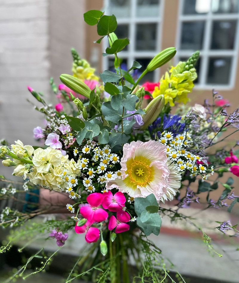 BLUMENTOCHTER Knallbonbon