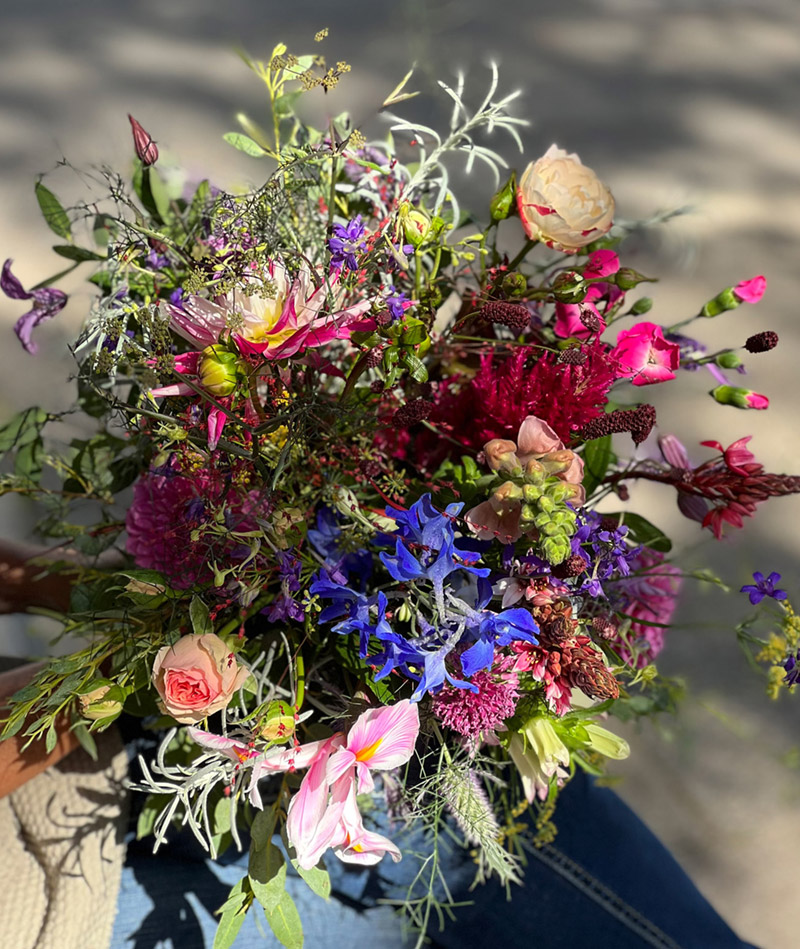 Wilde Wiese BLUMENTOCHTER Wilde Wiese