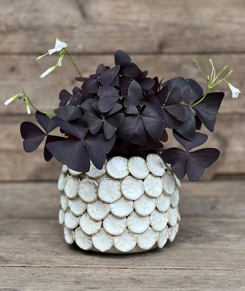 BLUMENTOCHTER House Doctor Vase "Dot", klein