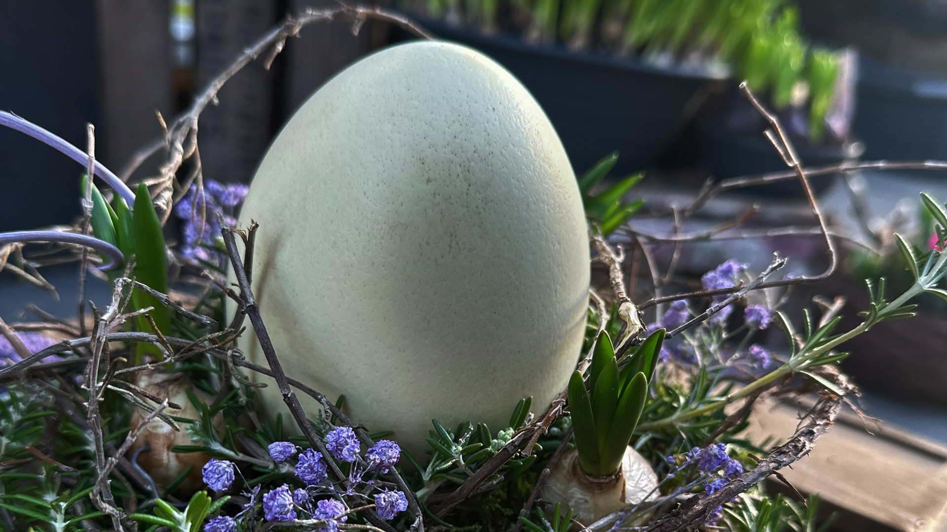 BLUMENTOCHTER Oster-Workshop