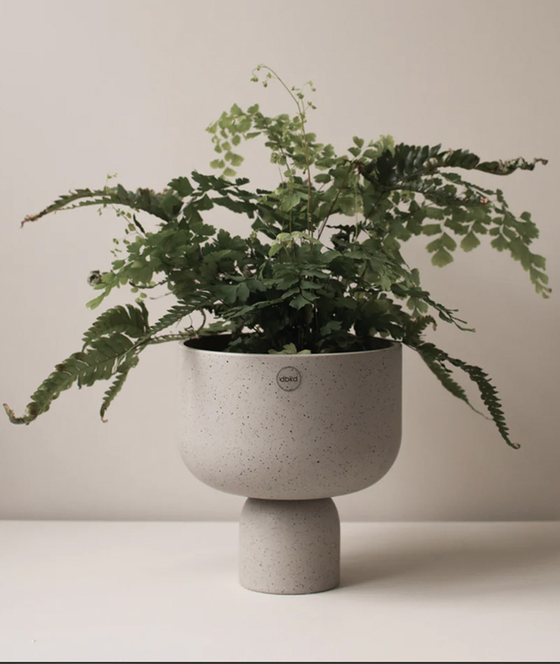 BLUMENTOCHTER DBKD Blumentopf Post