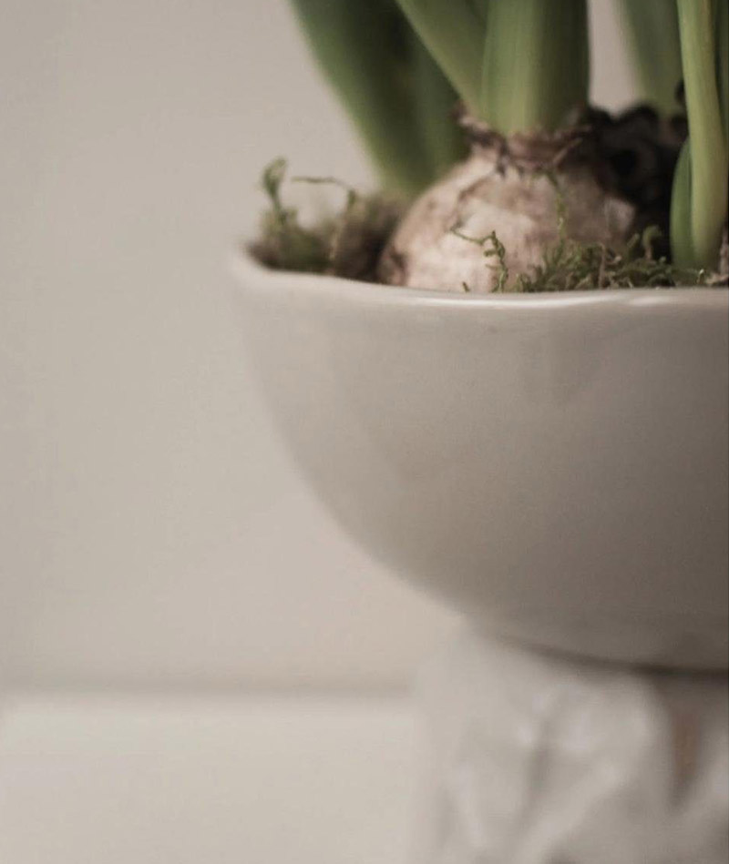 BLUMENTOCHTER DBKD Blumenschalde Base Dome