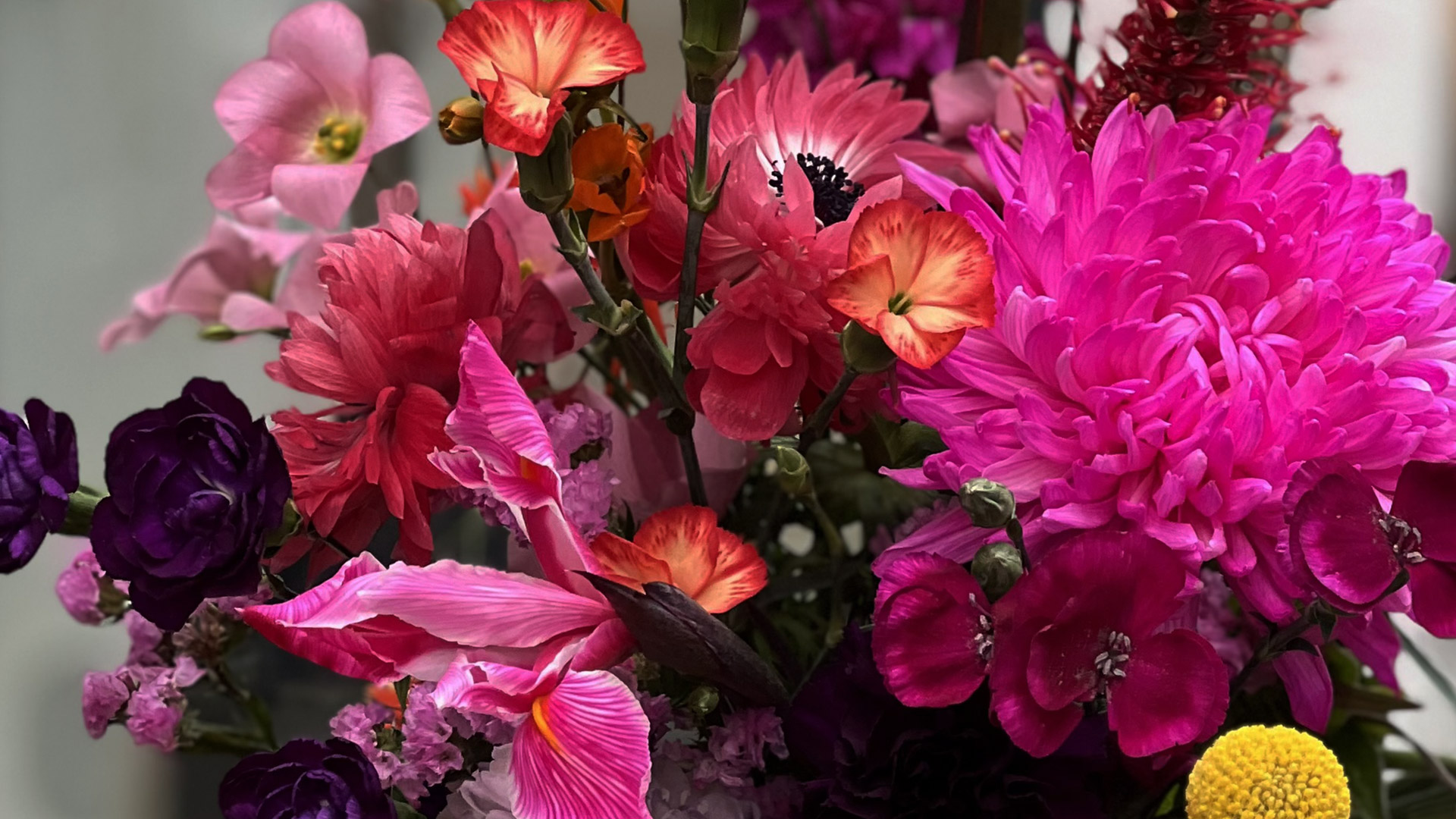 BLUMENTOCHTER Sträuße