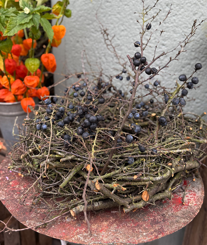 BLUMENTOCHTER Schlehenkranz