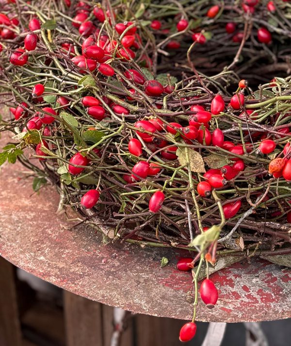 BLUMENTOCHTER Hagebuttenkranz