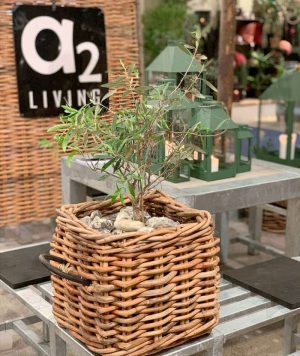 BLUMENTOCHTER A2 Living Rattan-Korb, eckig Maxi Low