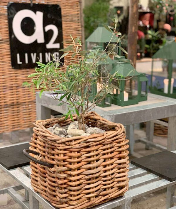 BLUMENTOCHTER A2 Living Rattan-Korb, eckig Maxi Low
