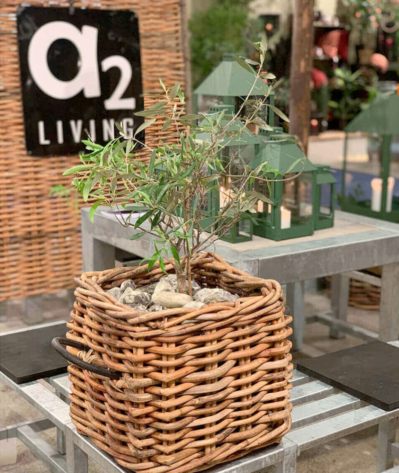 BLUMENTOCHTER A2 Living Rattan-Korb, eckig Maxi Low