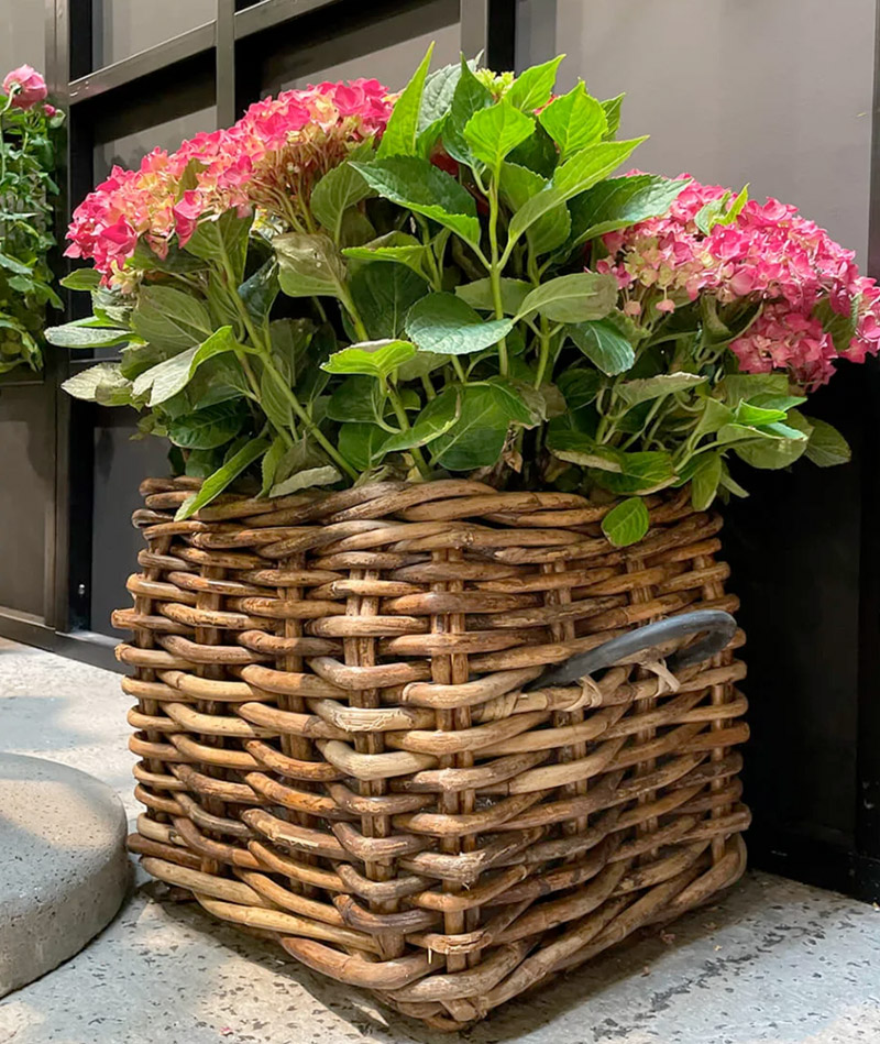 BLUMENTOCHTER A2 Living Rattan-Korb, eckig Maxi Low