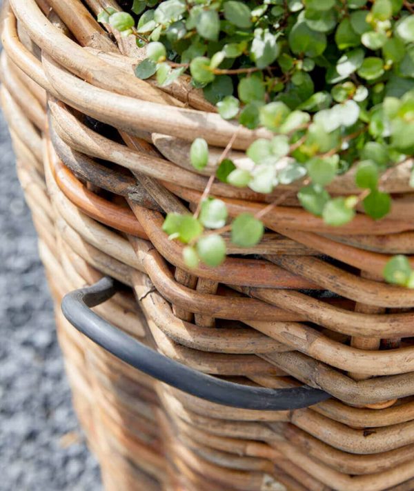BLUMENTOCHTER a2 Living Mega Rund Rattankorb