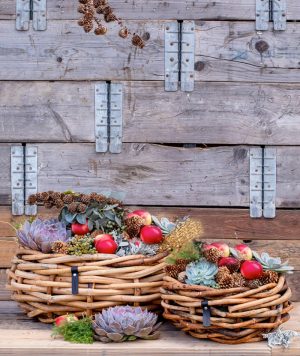 BLUMENTOCHTER a2 Living Rattan-Bowl, 2er Set, rund