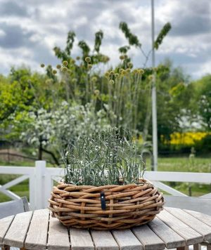 BLUMENTOCHTER a2 Living Rattan-Bowl, rund Maxi