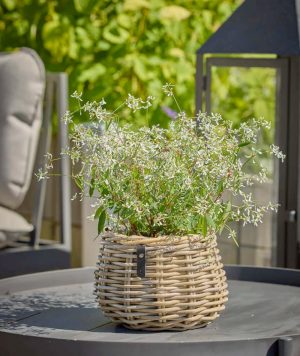 BLUMENTOCHTER a2 Living Rattan-Blumenkorb Pear, Kubu