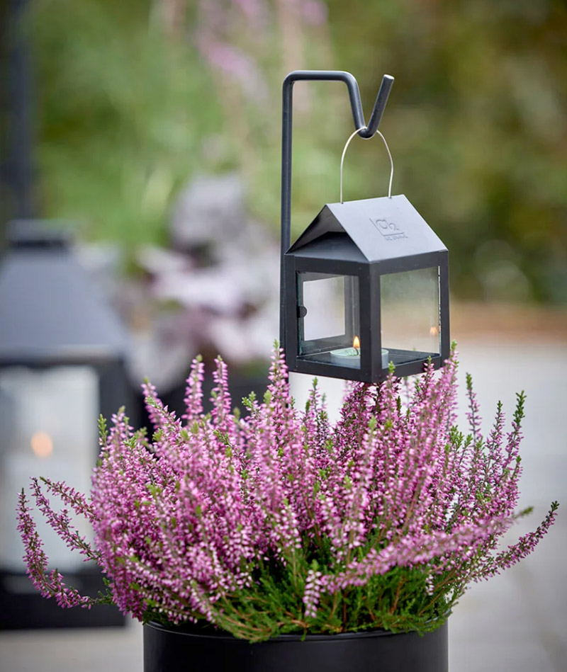 BLUMENTOCHTER a2 Stab