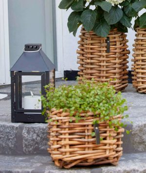 BLUMENTOCHTER a2 Living Laterne Micro, schwarz