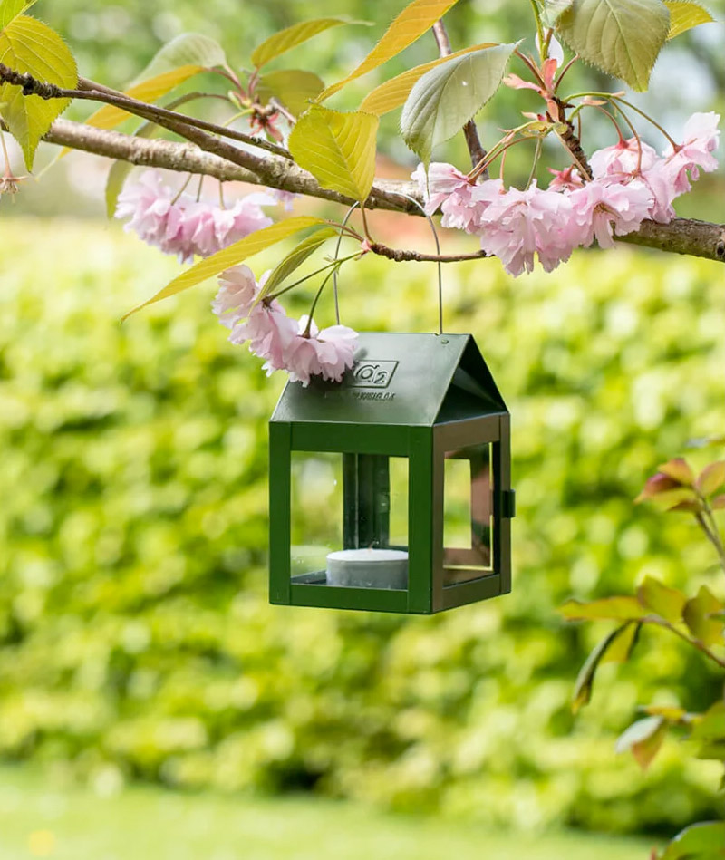 BLUMENTOCHTER a2 Olive Hanging-Lanterns