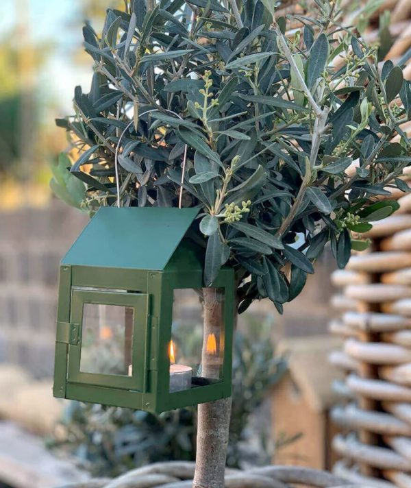 BLUMENTOCHTER a2 Olive Hanging-Lanterns