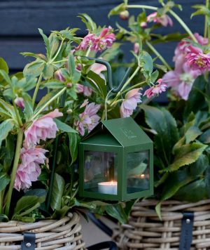 BLUMENTOCHTER a2 Stab, Olive