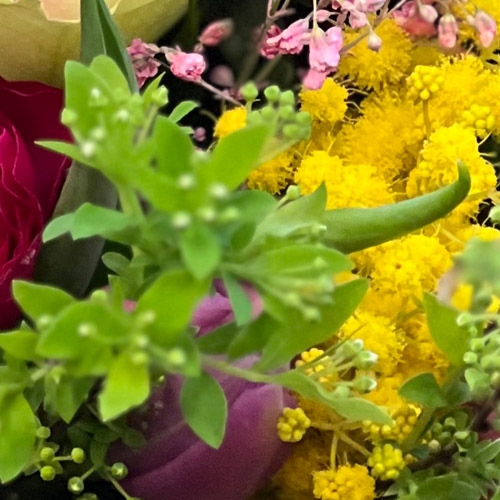 BLUMENTOCHTER Ueber uns