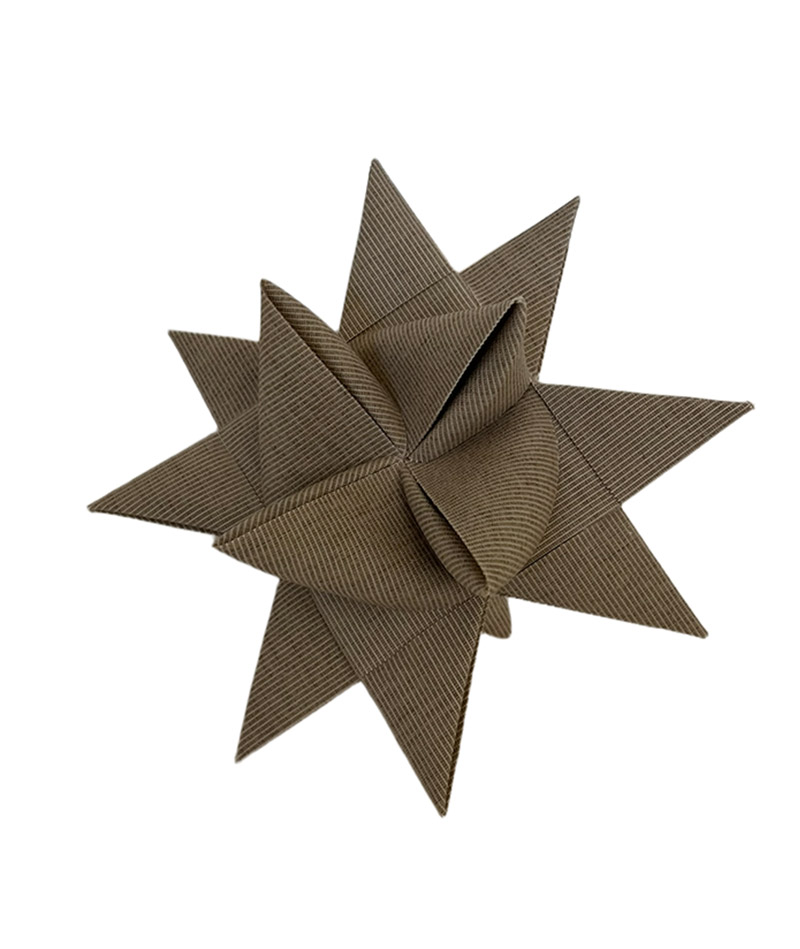 BLUMENTOCHTER Stjernfabrikken Canvas toast