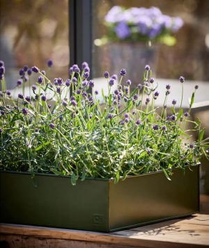 a2 Living Pflanzschalen Set, rechteckig