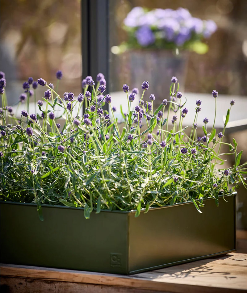 a2 Living Pflanzschalen Set, rechteckig