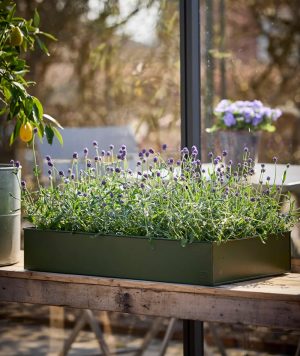 a2 Living Pflanzschalen Set, rechteckig
