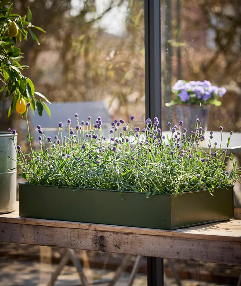 a2 Living Pflanzschalen Set, rechteckig