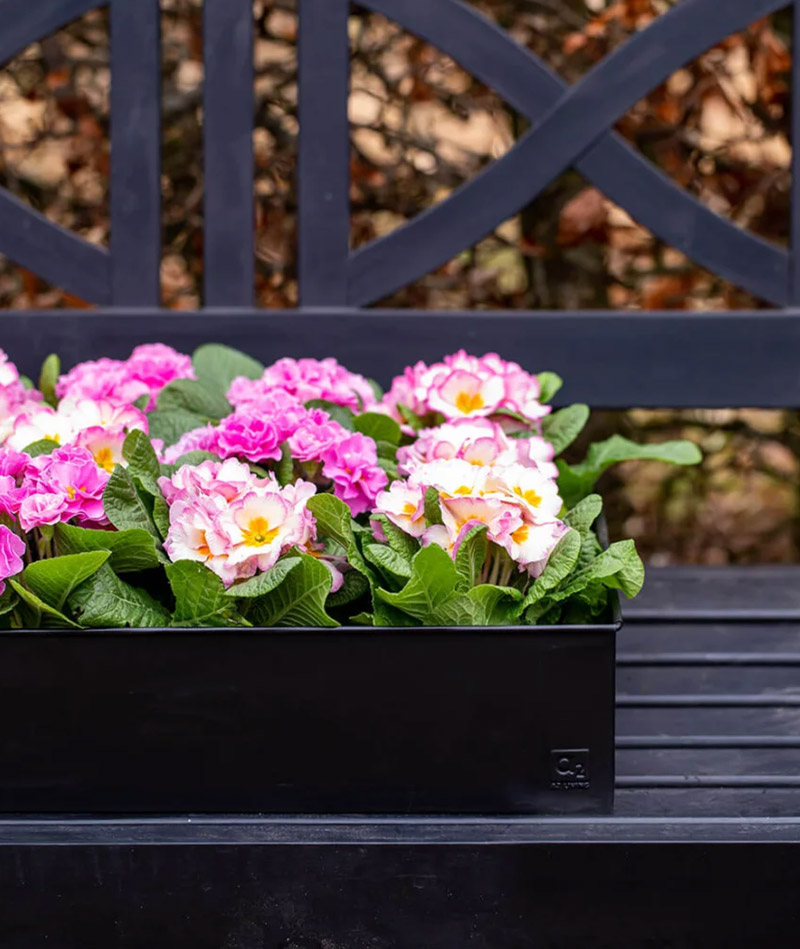 a2 Living Pflanzschalen Set, rechteckig