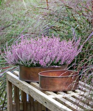 a2_Runde_Pflanzschale_Kupfer_01 a2 Living Pflanzschalen 2er Set, rund