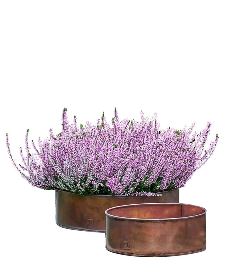 a2_Runde_Pflanzschale_Kupfer_02 a2 Living Pflanzschalen 2er Set, rund