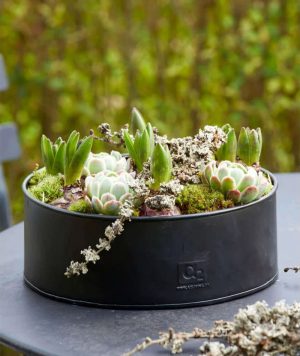 a2 Living Pflanzschalen 2er Set, rund