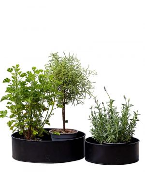 a2_Runde_Pflanzschale_Schwarz_03 a2 Living Pflanzschalen 2er Set, rund