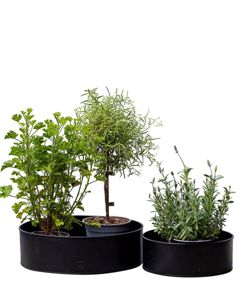 a2_Runde_Pflanzschale_Schwarz_03 a2 Living Pflanzschalen 2er Set, rund