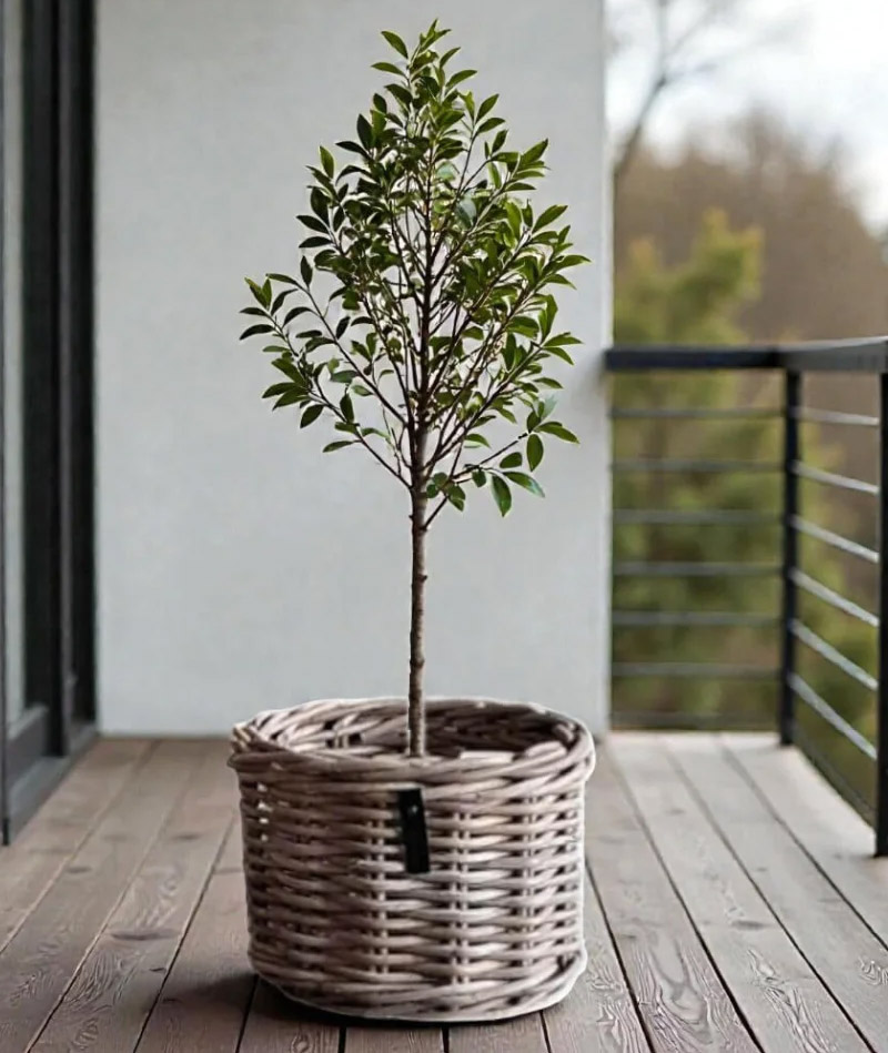 a2 Living Rattantopf mini round