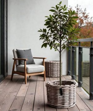 a2 Living Rattantopf mini round