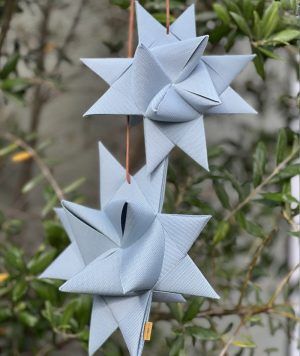 BLUMENTOCHTER Stjernefabrikken Türset, Frost