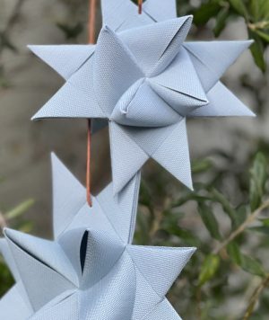 BLUMENTOCHTER Stjernefabrikken Türset, Frost