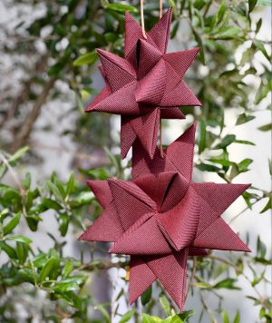 BLUMENTOCHTER Stjernefabrikken Türset, Roter Tweed